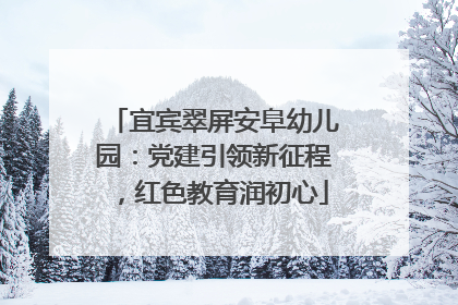 宜宾翠屏安阜幼儿园：党建引领新征程，红色教育润初心