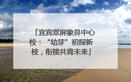 宜宾翠屏象鼻中心校：“幼芽”初探新枝，衔接共育未来