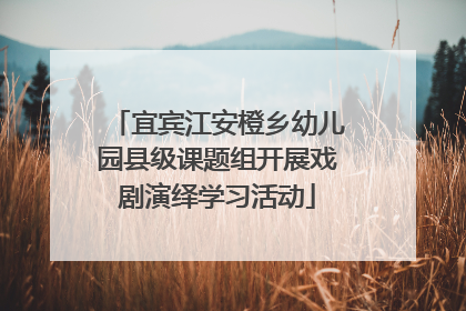 宜宾江安橙乡幼儿园县级课题组开展戏剧演绎学习活动