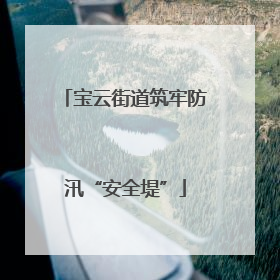 宝云街道筑牢防汛“安全堤”
