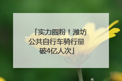 实力圈粉！潍坊公共自行车骑行量破4亿人次