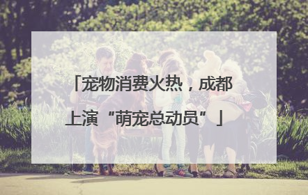 宠物消费火热，成都上演“萌宠总动员”