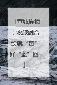 宣城旌德：农旅融合绘就“莓”好“蓝”图