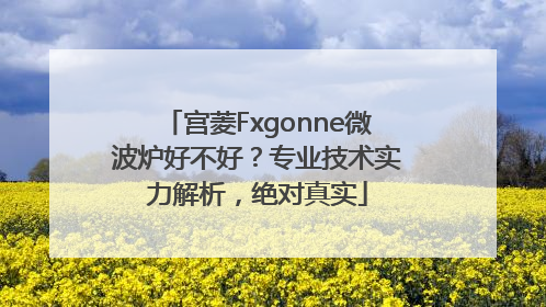 宫菱Fxgonne微波炉好不好？专业技术实力解析，绝对真实