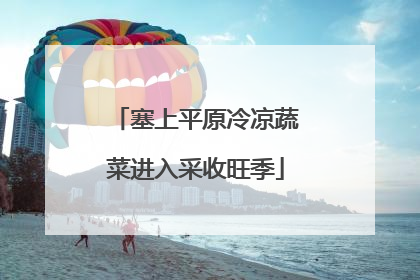 塞上平原冷凉蔬菜进入采收旺季