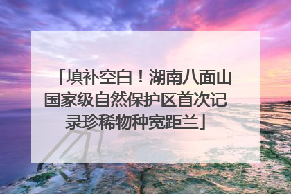 填补空白！湖南八面山国家级自然保护区首次记录珍稀物种宽距兰