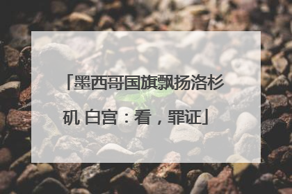 墨西哥国旗飘扬洛杉矶 白宫：看，罪证