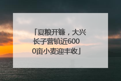 夏粮开镰，大兴长子营镇近6000亩小麦迎丰收