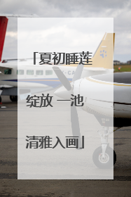 夏初睡莲绽放 一池清雅入画