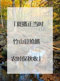 夏播正当时 竹山县抢抓农时保秋收