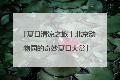 夏日清凉之旅丨北京动物园的奇妙夏日大赏