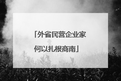 外省民营企业家何以扎根商南
