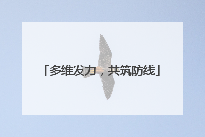 多维发力，共筑防线