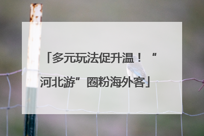 多元玩法促升温！“河北游”圈粉海外客