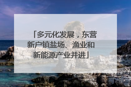 多元化发展，东营新户镇盐场、渔业和新能源产业并进