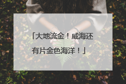 大地流金！威海还有片金色海洋！
