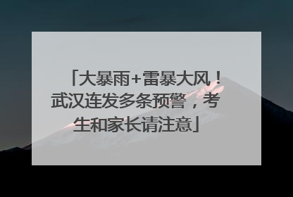 大暴雨+雷暴大风！武汉连发多条预警，考生和家长请注意