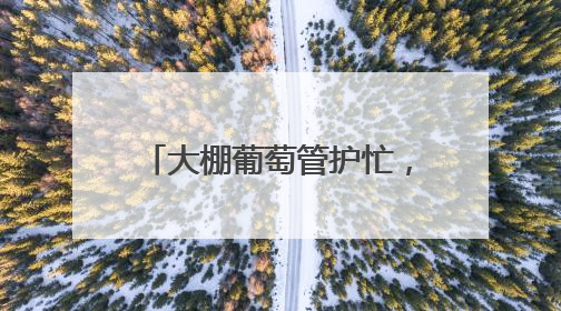 大棚葡萄管护忙，科学疏果助丰收