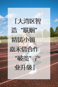 大湾区智造“联姻”精铸小镇 嘉禾借合作“破茧”产业升级
