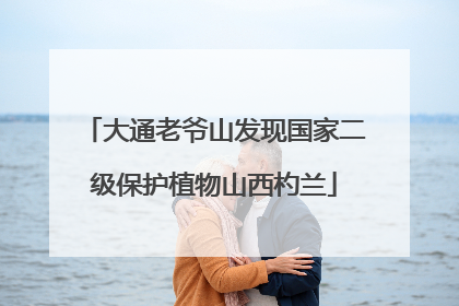 大通老爷山发现国家二级保护植物山西杓兰