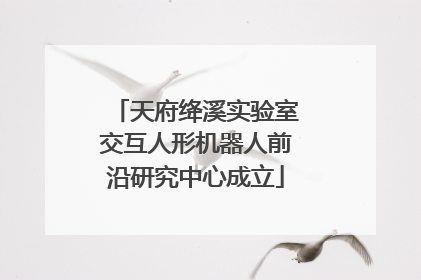 天府绛溪实验室交互人形机器人前沿研究中心成立