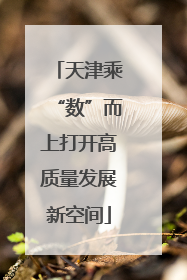 天津乘“数”而上打开高质量发展新空间