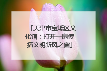 天津市宝坻区文化馆：打开一扇传播文明新风之窗