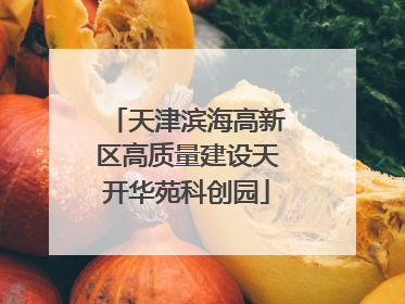 天津滨海高新区高质量建设天开华苑科创园