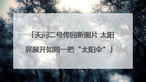 天问二号传回新图片 太阳翼展开如同一把“太阳伞”