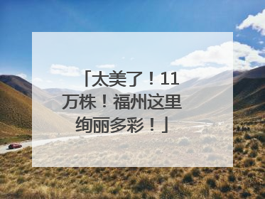 太美了！11万株！福州这里绚丽多彩！