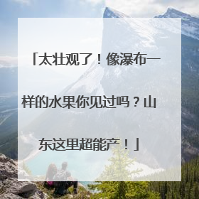 太壮观了！像瀑布一样的水果你见过吗？山东这里超能产！
