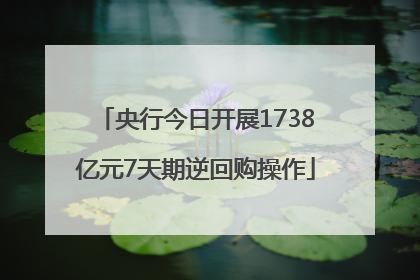 央行今日开展1738亿元7天期逆回购操作