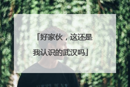 好家伙，这还是我认识的武汉吗
