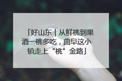 好山东｜从鲜桃到果酒一桃多吃，曲阜这小镇走上“桃”金路