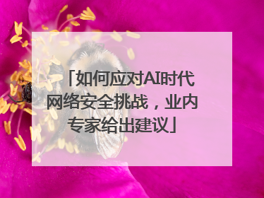 如何应对AI时代网络安全挑战，业内专家给出建议