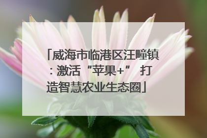 威海市临港区汪疃镇：激活“苹果+” 打造智慧农业生态圈