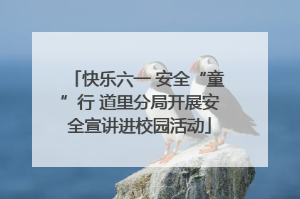 快乐六一 安全“童”行 道里分局开展安全宣讲进校园活动