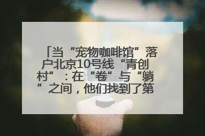 当“宠物咖啡馆”落户北京10号线“青创村”：在“卷”与“躺”之间，他们找到了第三种生活公式