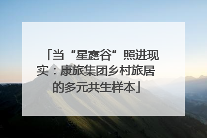 当“星露谷”照进现实：康旅集团乡村旅居的多元共生样本