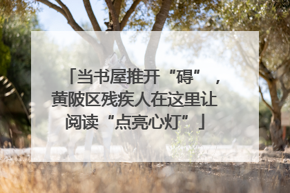 当书屋推开“碍”，黄陂区残疾人在这里让阅读“点亮心灯”
