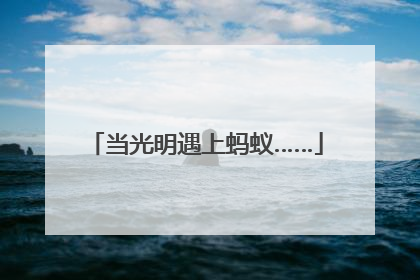 当光明遇上蚂蚁……