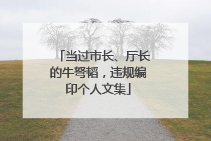 当过市长、厅长的牛弩韬，违规编印个人文集