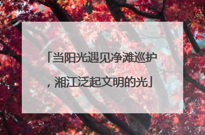 当阳光遇见净滩巡护，湘江泛起文明的光