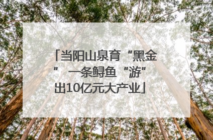 当阳山泉育“黑金” 一条鲟鱼“游”出10亿元大产业