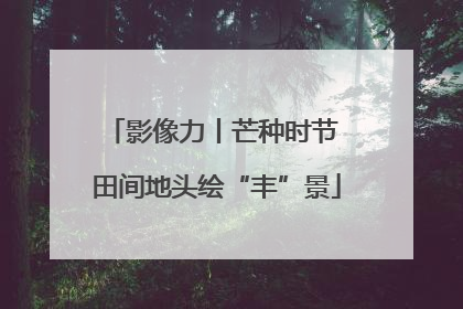影像力丨芒种时节 田间地头绘“丰”景