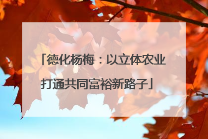 德化杨梅：以立体农业打通共同富裕新路子