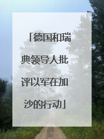 德国和瑞典领导人批评以军在加沙的行动