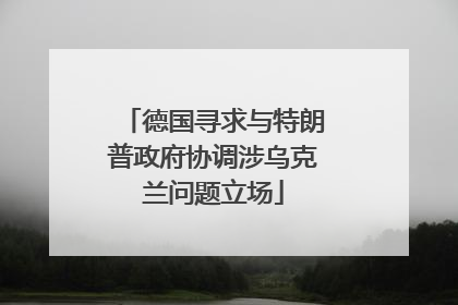 德国寻求与特朗普政府协调涉乌克兰问题立场