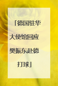 德国驻华大使馆回应樊振东赴德打球