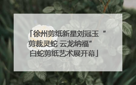 徐州剪纸新星刘冠玉“剪裁灵蛇 云龙纳福” 白蛇剪纸艺术展开幕